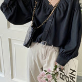 Solid V Neck Button Front Blouse, Casual Long Sleeve Blouse For Spring & Fall, Women's Clothing