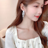 2025 High-end niche earrings  personalized fashion  elegant earrings 925 silver needle long fringed earrings women
