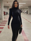 Long Sleeve Midi Dress, High Neck Slim Casual Every Day Dress, Women's Clothing