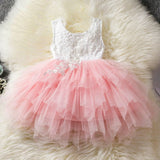 Flower Newborn Baby Dress New Summer Cute Baby Girls Clothes Tulle Lace Infant XMAS Party Clothing 1 Year Birthday Dress